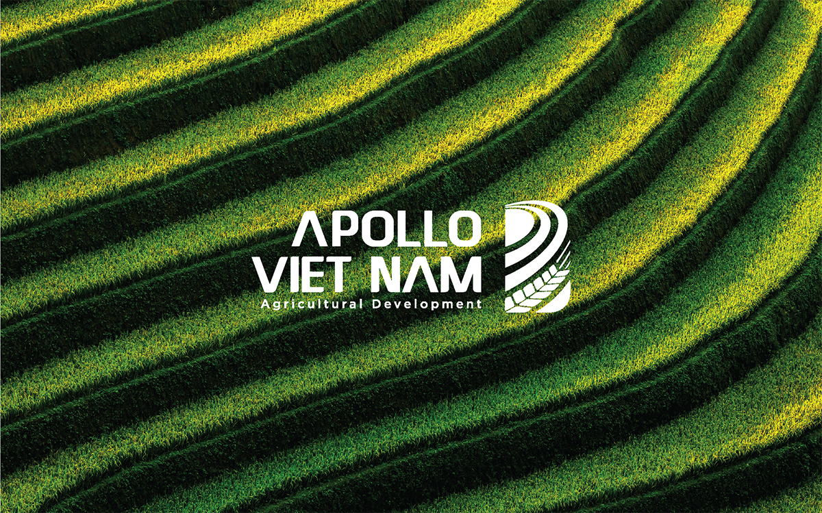 Apollo Việt Nam